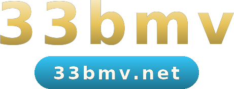 33bmv logo